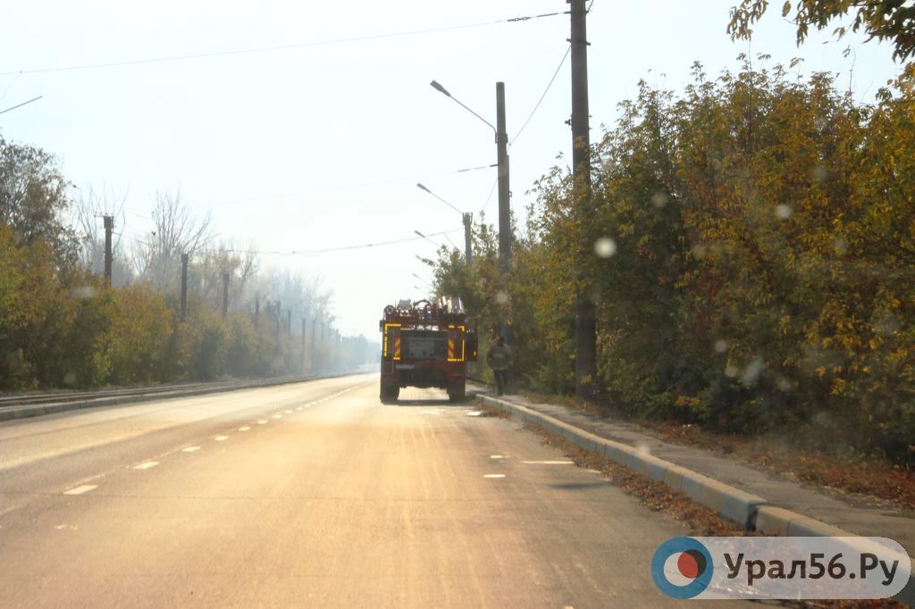 Цена обслуживания лесов в Орске упала на 64,18% в результате торгов