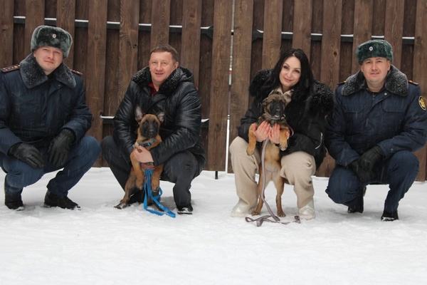 Служебные собаки. Источник: ГУФСИН России по Свердловской области