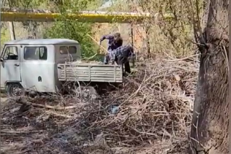 Стопкадр из видео