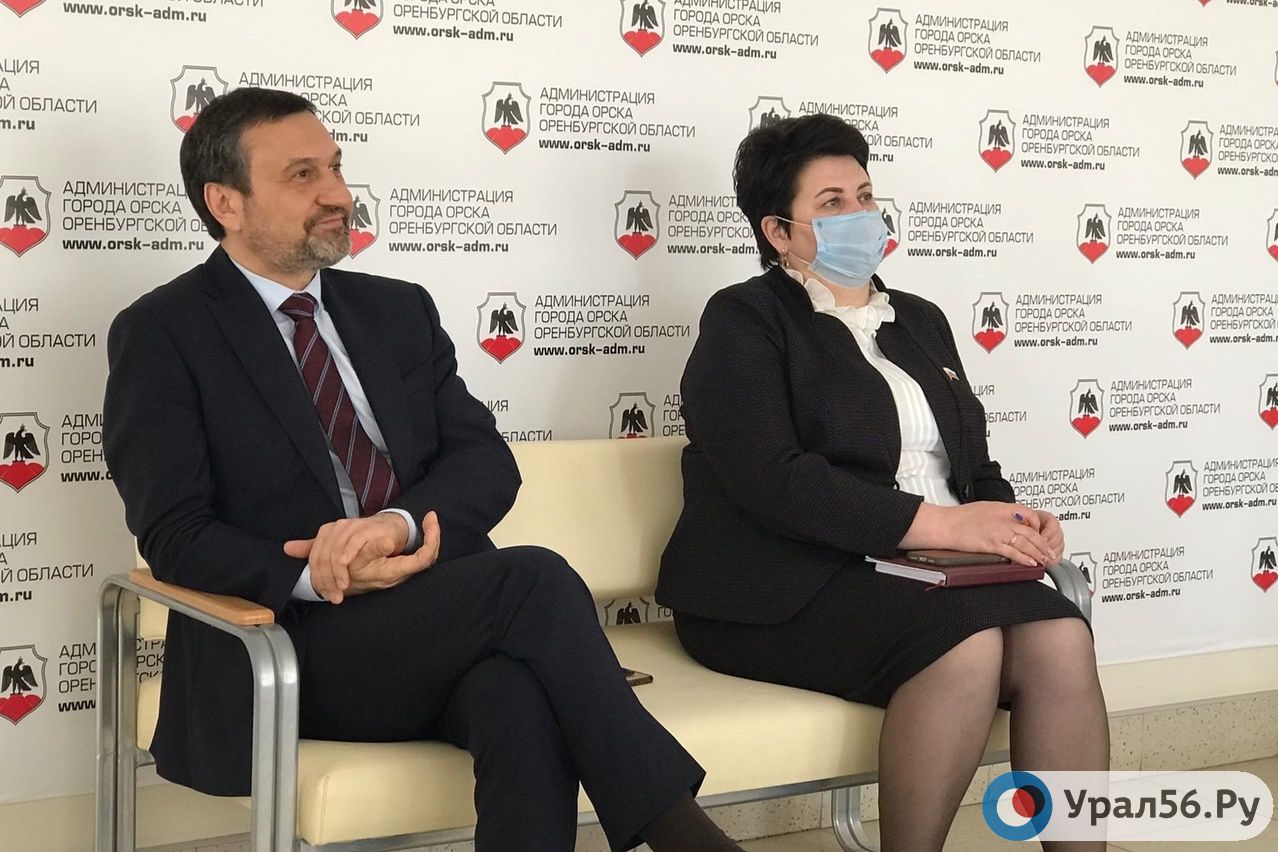Животных в Орске могут начать кастрировать бесплатно. Программа обойдется бюджету примерно в 1,5 млн рублей