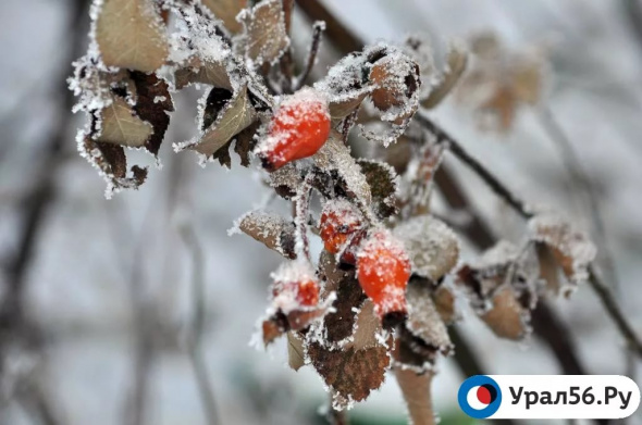 На 7 градусов ниже нормы: Жителей Оренбургской области ждут морозные и бесснежные выходные