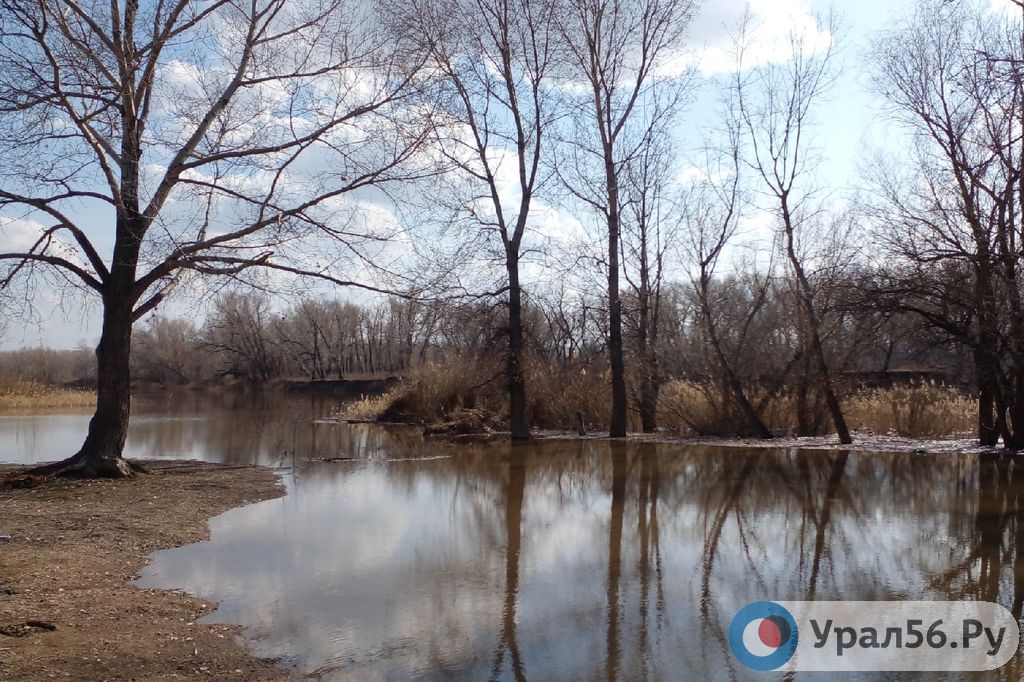 Какой уровень воды в урале в орске