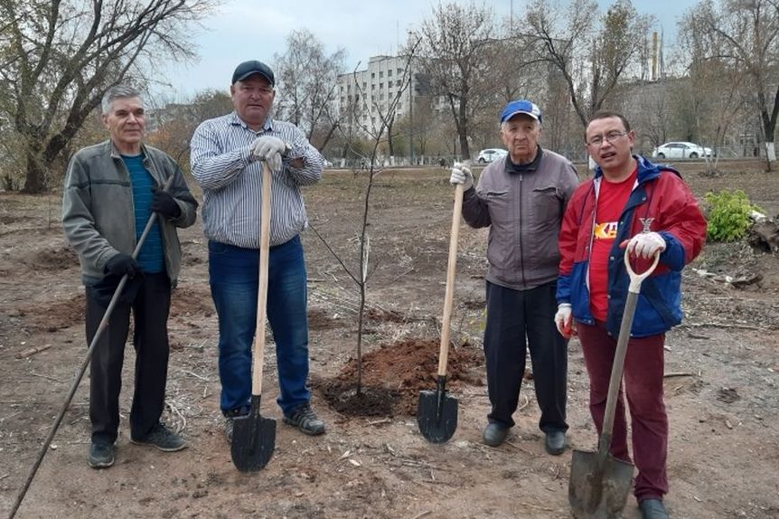Во время высадки саженцов на проспекте Гагарина