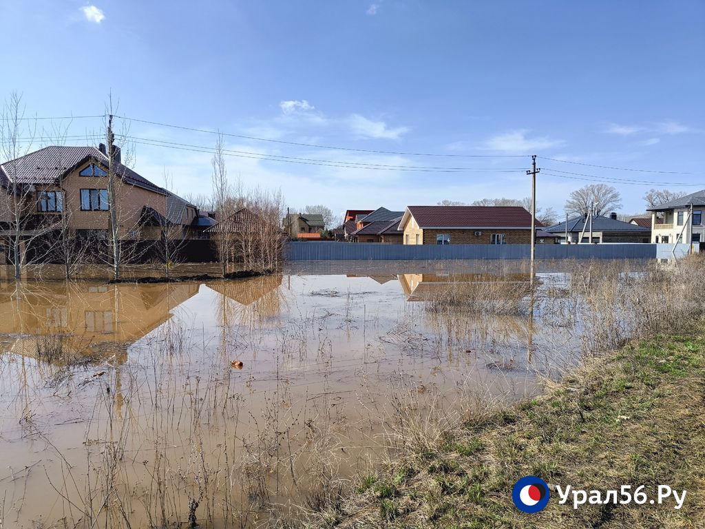 Село им. 9 Января, 11.04.24