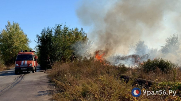 В Орске горит сухая трава в районе Зеленхоза. Пожарные спасли от огня садовый дом