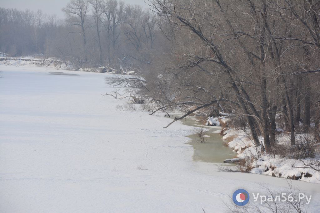 Русло реки Урал в районе Орска