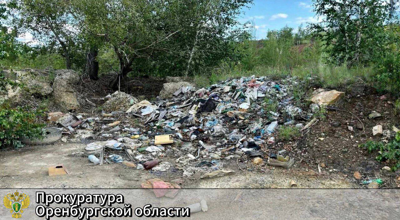 Свалка в Медногорске. Источник: Прокуратура Оренбургской области