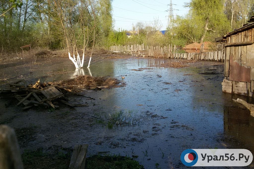 В Оренбурге из-за паводка начинает затапливать СНТ «Газовик»