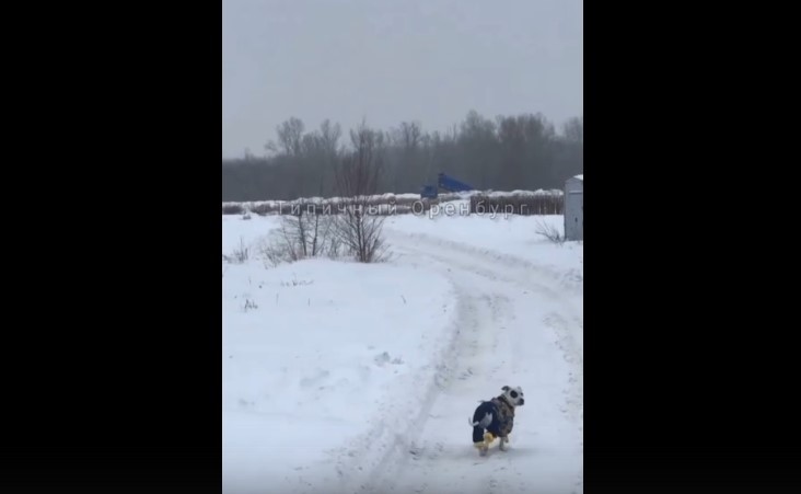 Стоп-кадр из видео в паблике «Типичный Оренбург»