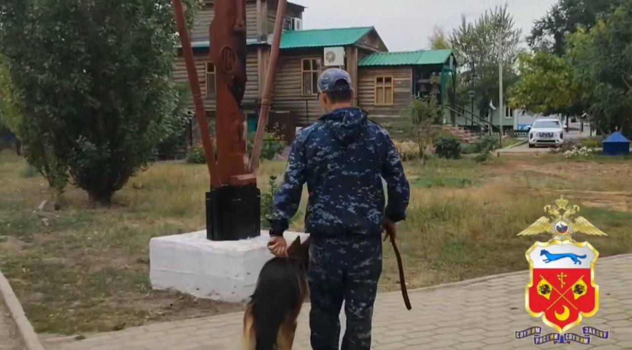 На фоне тот самый крест, который пыталась сжечь женщина. Стоп-кадр из видео УМВД