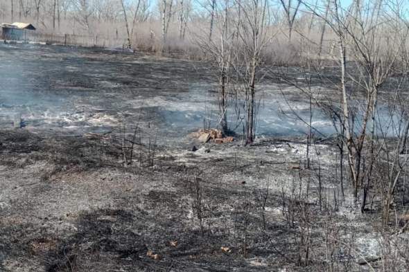 Пожароопасный сезон в Оренбургской области может начаться с 12 апреля