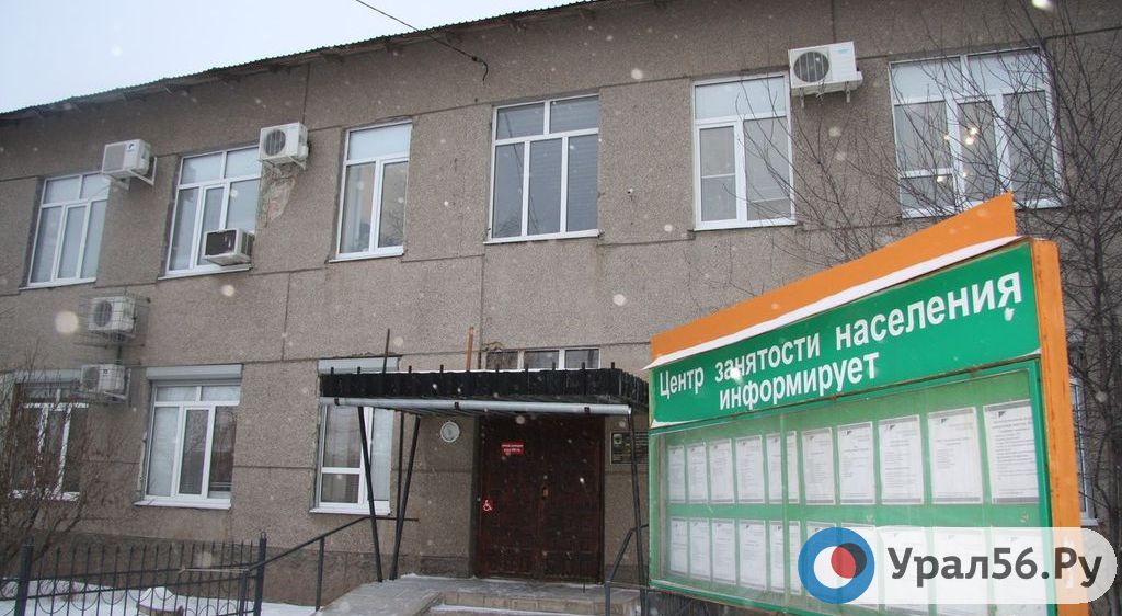 Сколько зарабатывают руководители центров занятости населения в Оренбургской области? Опубликованы сведения о доходах