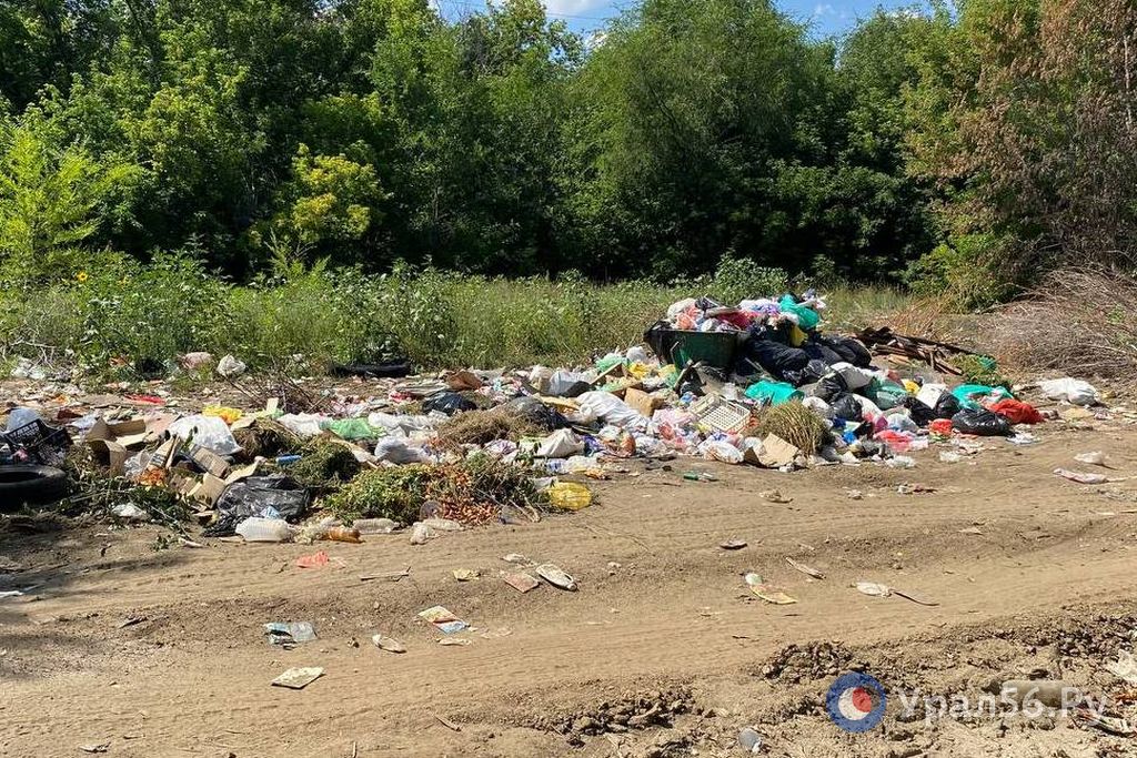 В администрации Орска рассказали, куда жаловаться на захламленные мусорные  площадки | 05.08.2023 | Новости Орска - БезФормата