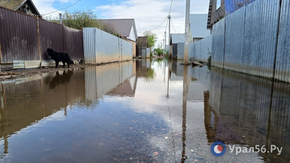 За сутки в Оренбурге и Орске от воды освободились 164 дома и более 240 участков 
