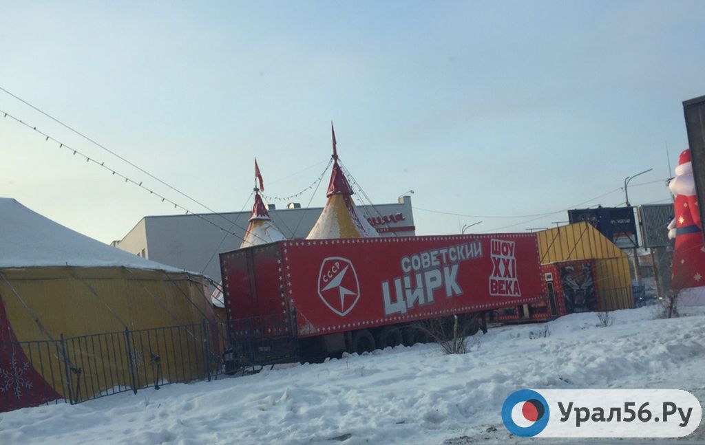 Цирк в Орске