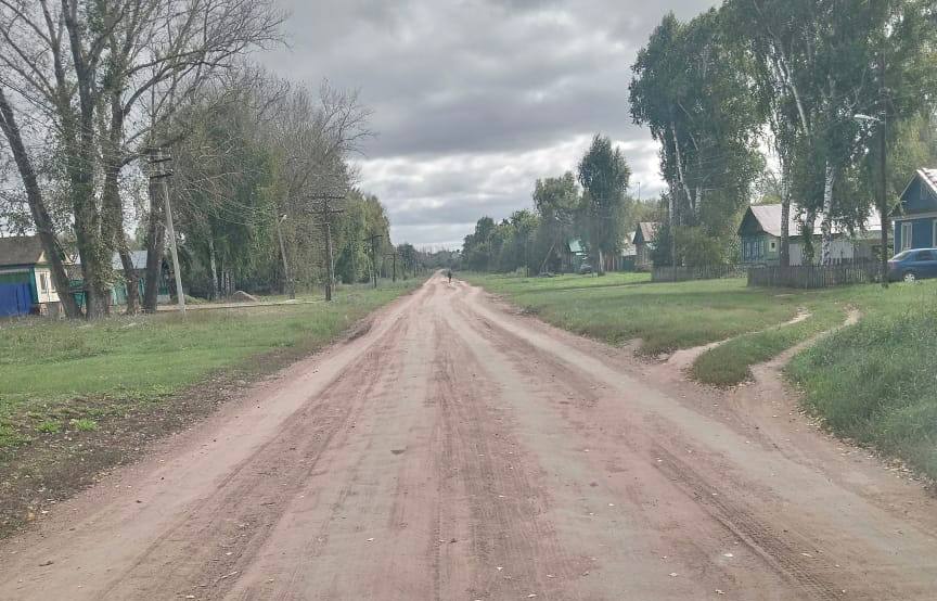 Дорога в селе Воздвиженка в сентябре 2025 года. Фото: администрация Пономаревского района