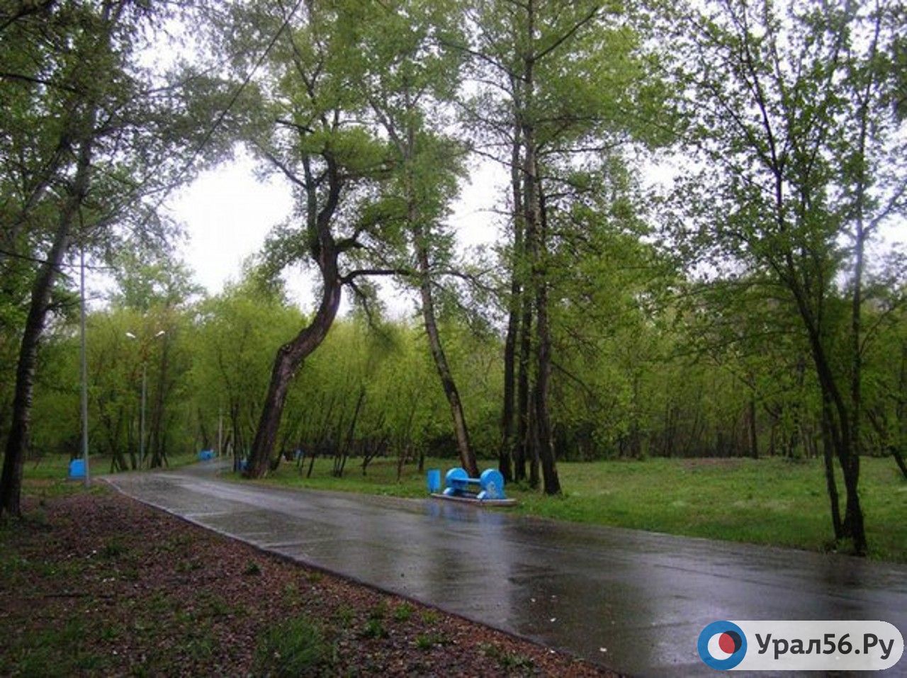 В Зауральной роще, Оренбург