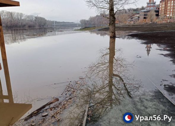 За сутки уровень реки Урал в районе Оренбурга вырос до 661 см