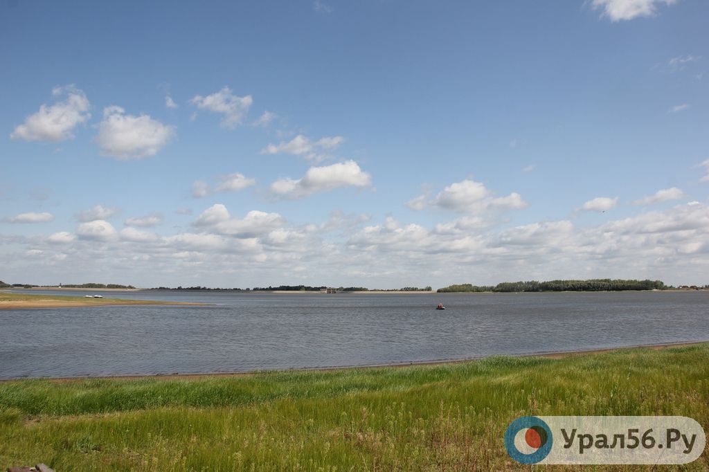 На Димитровском водохранилище, 07.08.2019г.