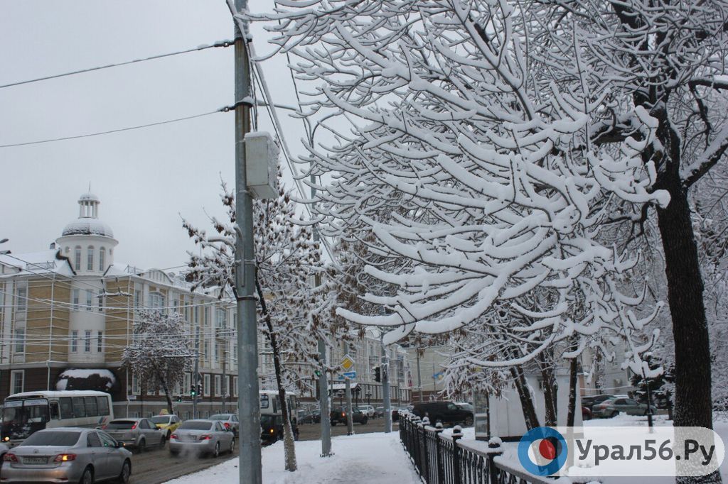 На наступившей неделе снегопадов в Оренбургской области не прогнозируется, как и сильных ночных морозов