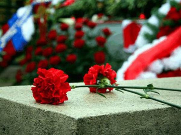 Останки бойца нашли в Волгоградской области