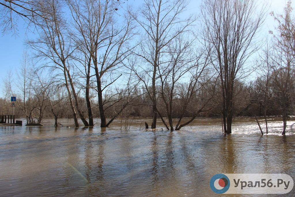 Уровень реки Урал в Оренбурге продолжает расти