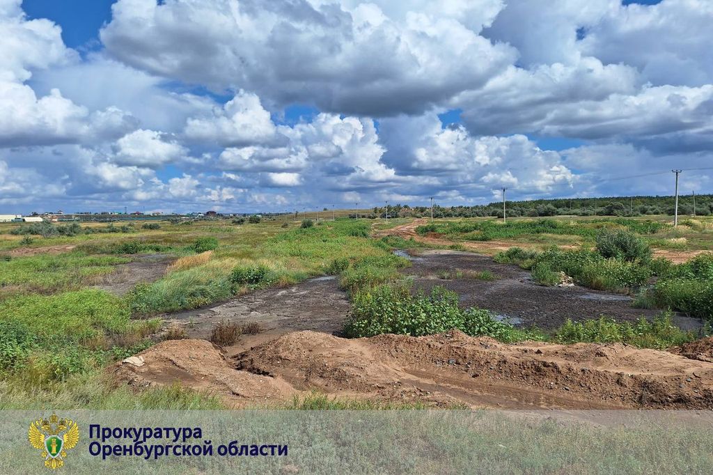 В Соль-Илецком г.о. массово погибла рыба, фото – прокуратура Оренбургской области
