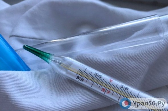 В России выявлены первые случаи заболевания коронавирусом
