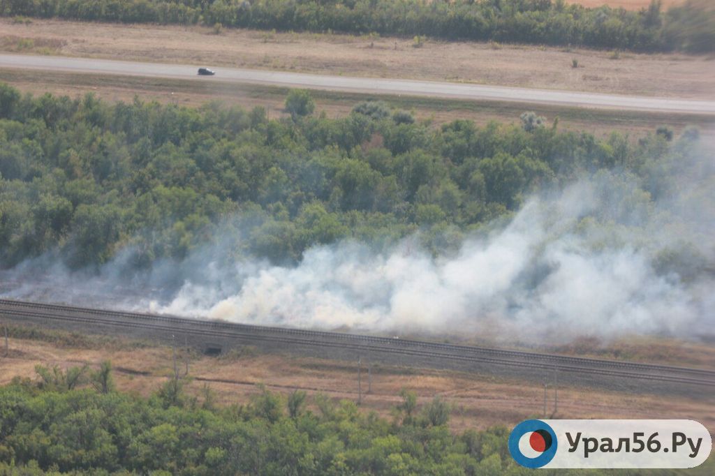 Лесной пожар на территории Оренбургской области. Фото из архива