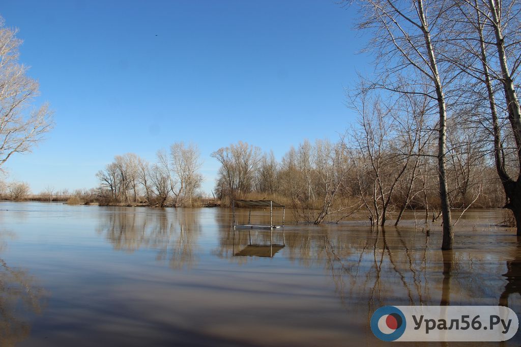 Какой уровень воды в урале в илеке