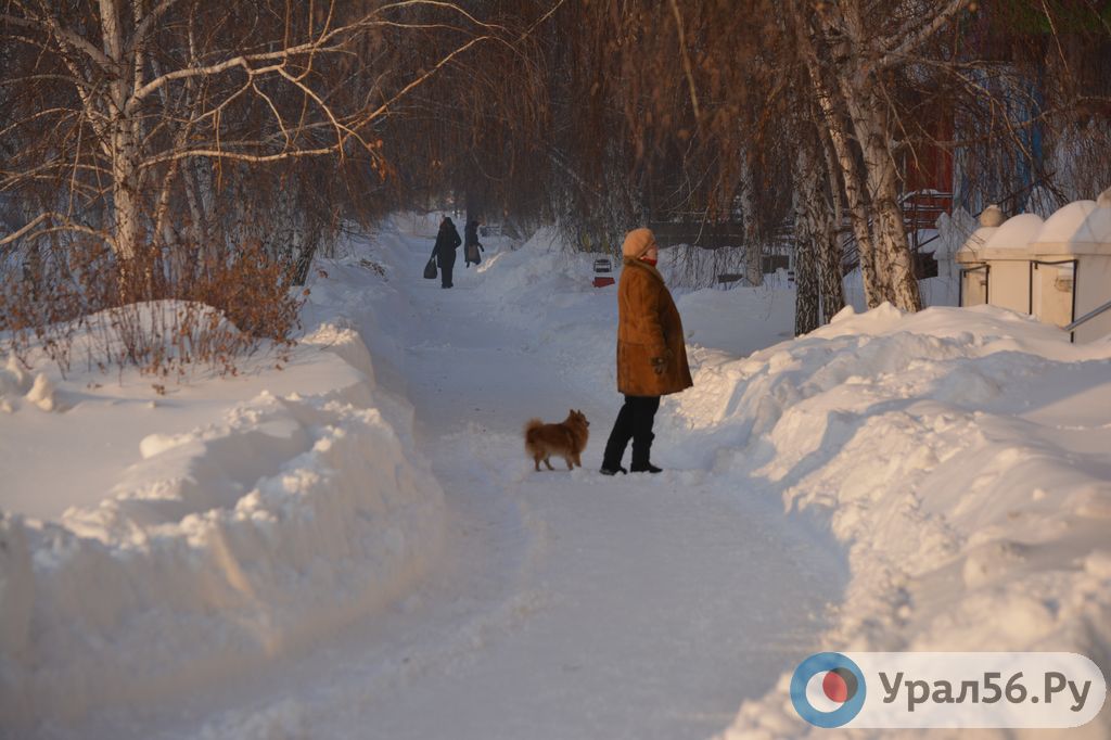 Тротуар по проспекту Мира. Орск, 19.02.2021