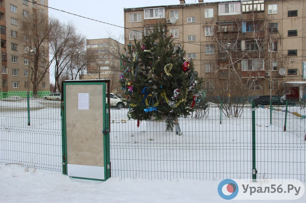 Дворовая елка в Орске