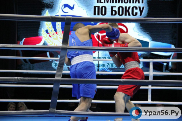 В Оренбурге проходит Чемпионат ПФО по боксу среди мужчин и женщин 