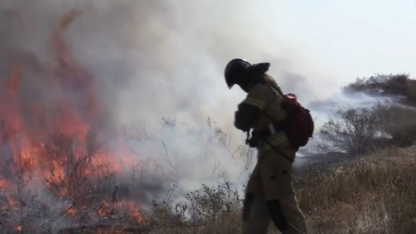 На востоке Оренбургской области смог и запах гари из-за природных пожаров