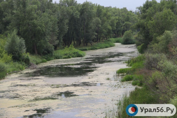 В Минприроде сообщили о случаях загрязнения в реках Урал и Блява