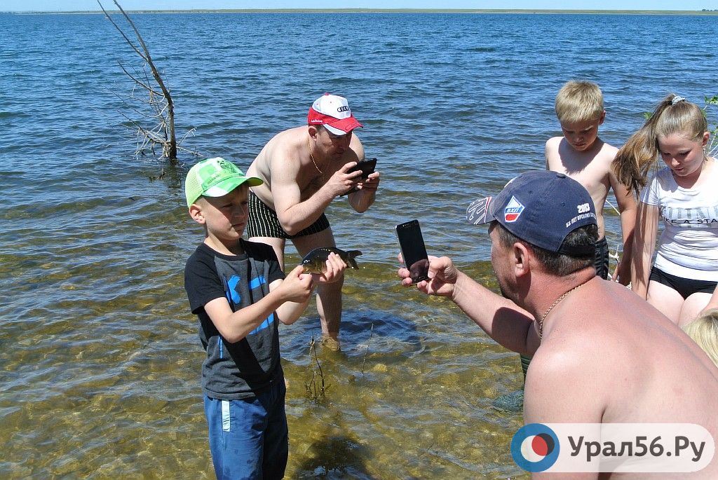 «Малек — 2018», 16.06.2018 