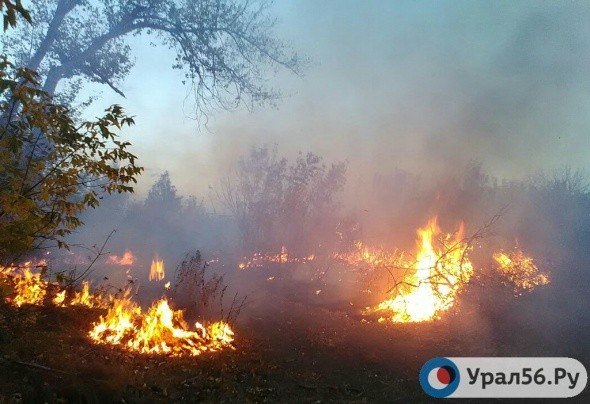 В Орске ввели особый противопожарный режим