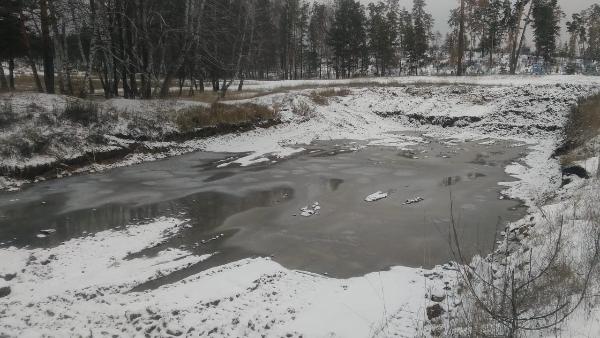Расчистка пожарного водоема