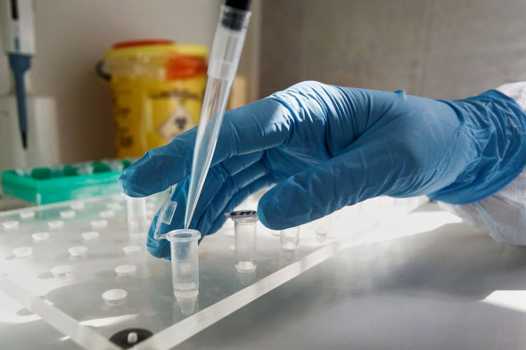 В стационарах и поликлиниках Орска начали проводить экспресс-тесты на коронавирус