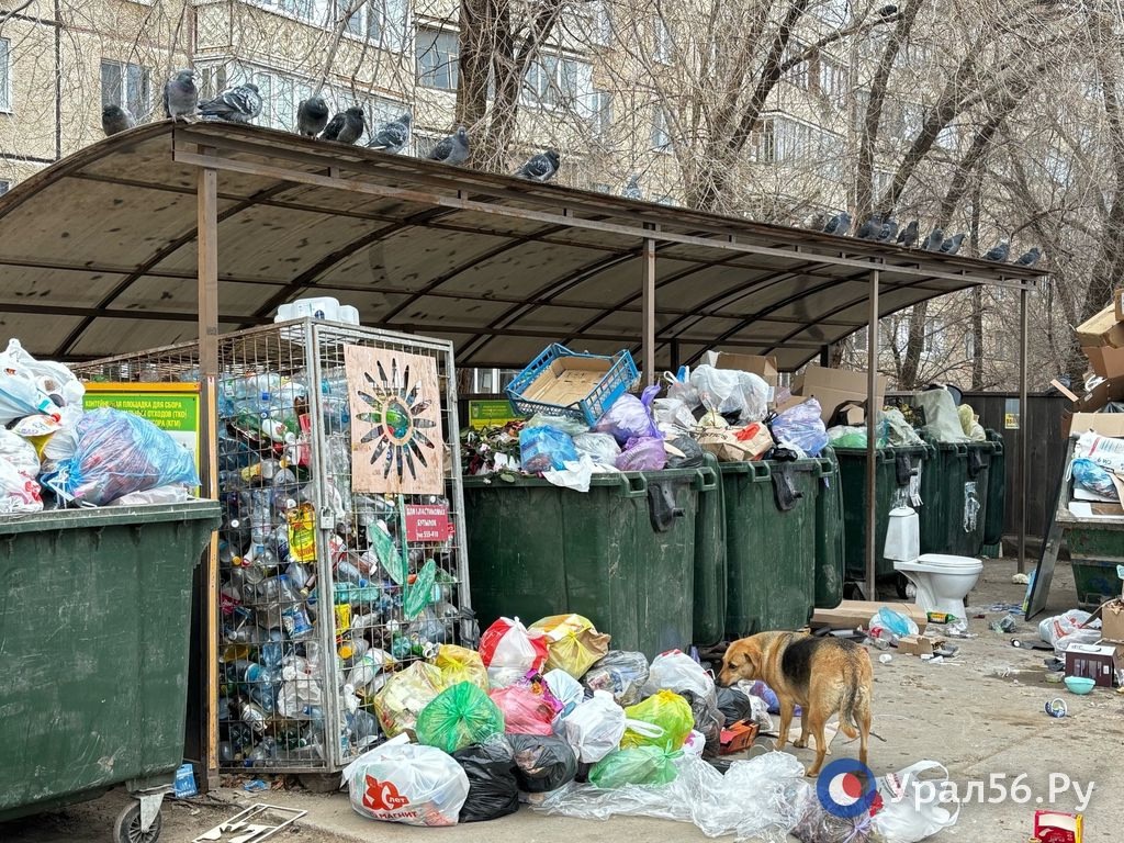 Мусорная площадка, фото из архива