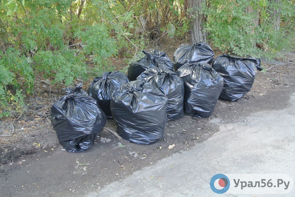 За месяц с улиц Орска вывезли около 240 вагонов мусора