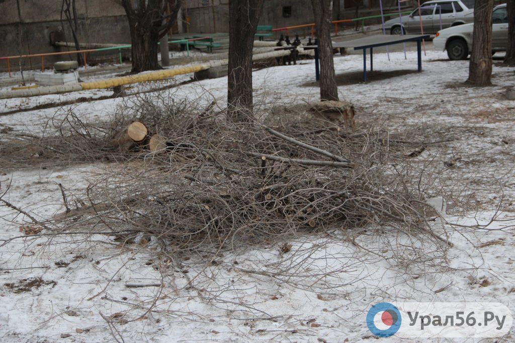 Ветки во дворен дома № 54 по улице Кутузова в Орске, 17.12.2019г.
