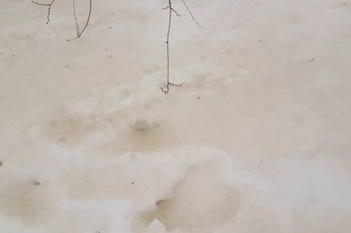 Необычного цвета снег. Фото: соцсети