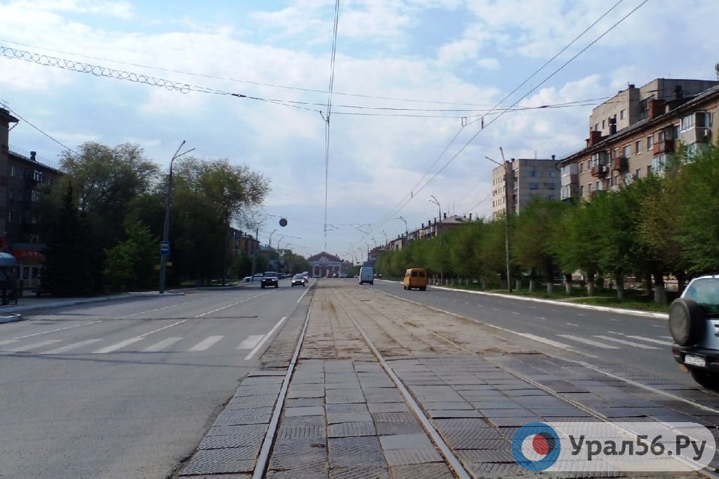 «Прекрасный вид»: в центре Орска до пеньков обрезали часть деревьев