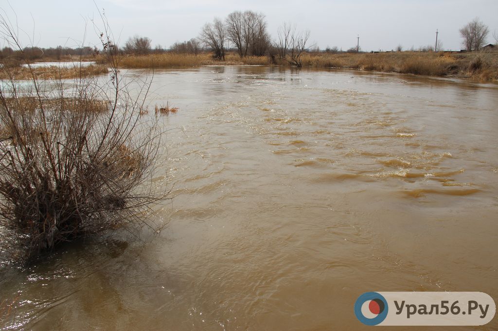 Уровень реки Урал в Оренбурге пока не меняется, в Орске — несколько дней растет