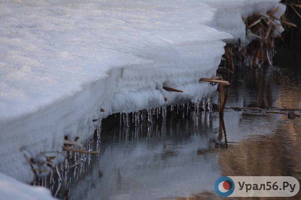 Весна в Оренбургской области 
