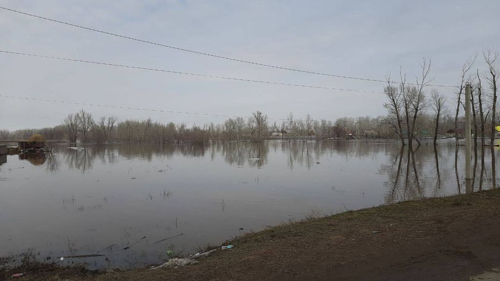 Река, вышедшая из берегов. Фото: МО Оренбургский район