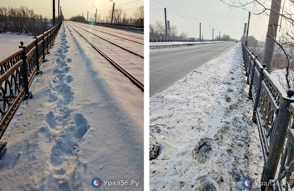 Мост через Урал в Орске, 21.01.2026