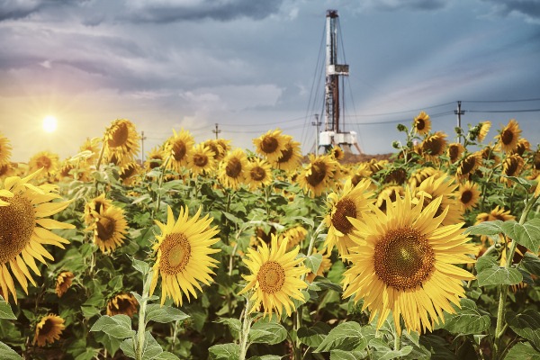 «Газпром нефть» совершенствует систему экологического мониторинга в Оренбуржье
