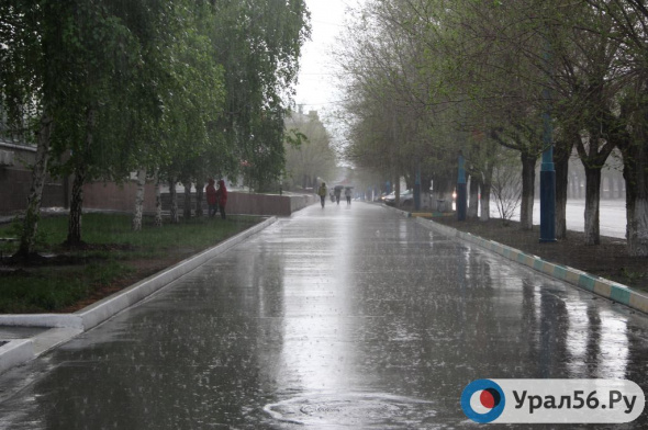 Вся неделя в Оренбургской области будет дождливой